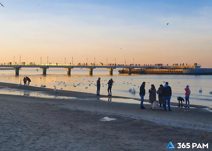 365pam - Alabaster - Basen, Sauna, Jacuzzi, Silownia, Restauracja Kołobrzeg